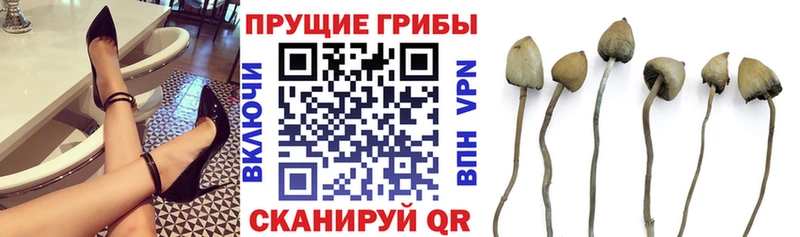 Купить закладки  Чаплыгин  Псилоцибиновые грибы ЛСД 